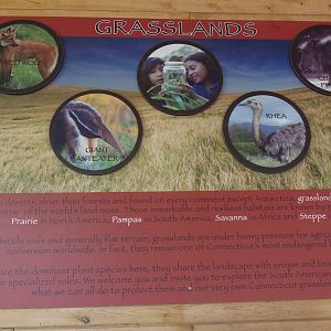 Pampas Plains- Grasslands Sign