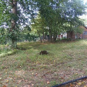 Pampas Plains- Maned Wolf Exhibit