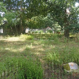 Pampas Plains- Maned Wolf Exhibit