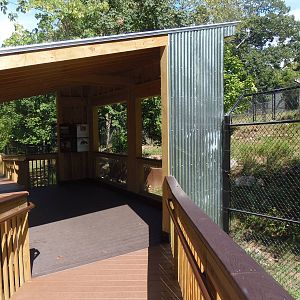 Pampas Plains- Anteater Viewing