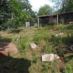 Pampas Plains- Giant Anteater Exhibit