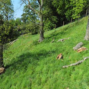 New macaque enclosure