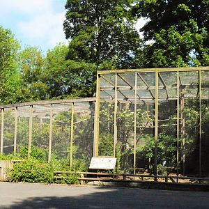 Aviaries