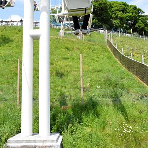 Chairlift going directly over the new macaque enclosure