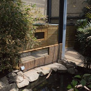 New entrance in lorikeet walkthrough.