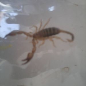 Stingy little friend in the bathroom