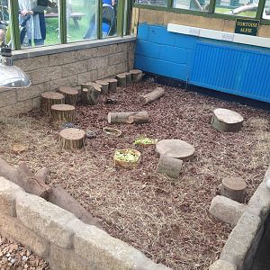 Tortoise Exhibit at Ponderosa Rural Thereapeutic Centre