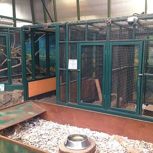 View of Small Animal Exhibits at Ponderosa Rural Thereapeutic Centre