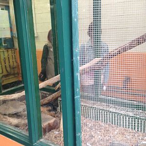 Chinchilla Exhibit at Ponderosa Rural Thereapeutic Centre