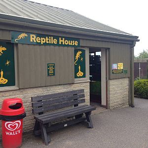 Reptile House at Ponderosa Rural Thereapeutic Centre