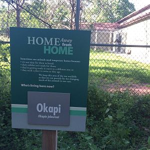 Temporary home for animals in one of the Hoofed Animals exhibits