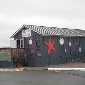 Discovery passage aquarium - May 2016