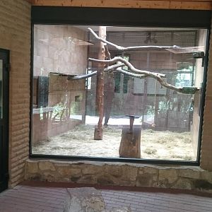 Inside the Gelada House