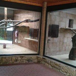 Inside the Gelada House