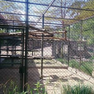 Gelada holding cages