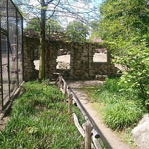 Holding cages and enclosure Geladas