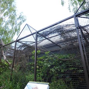 Outdoor Saki Monkey Enclosure