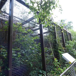 Outdoor Squirrel Monkey Enclosure