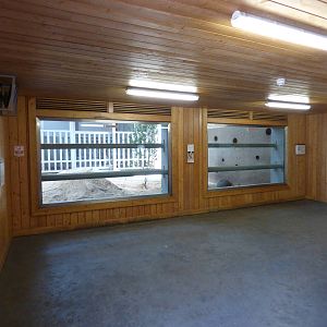 Indoor Elephant House Viewing Area