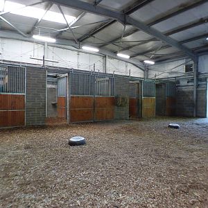 Indoor Zebra Enclosure