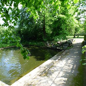 Outdoor Common Hippo Enclosure