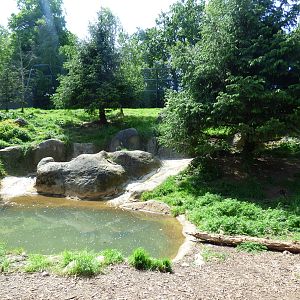 Amur Tiger Enclosure
