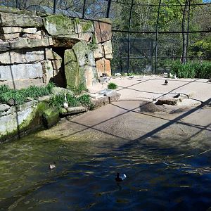 Seabird Aviary