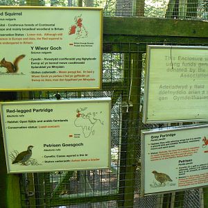 View of Signs for Native Species - 30 May 2016