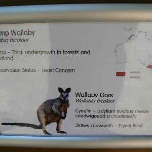 Signage Example - 30 May 2016