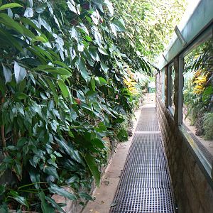 View of Part of Reptile House - 30 May 2016