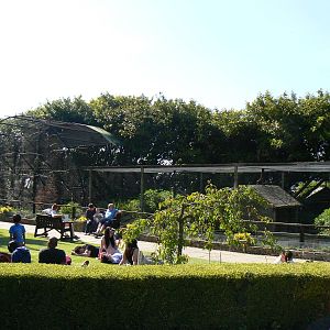 View of Amazon Aviary - 30 May 2016