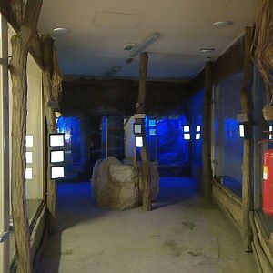 Nocturnal section of the Madagascar pavilion