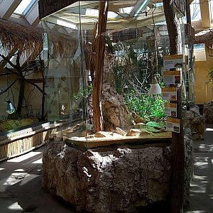 Diurnal section of the Madagascar pavilion