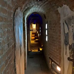 Exhibit for Egyptian fruit bat