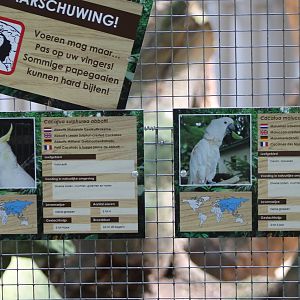 Cockatoo-signs and warning sign