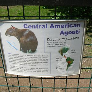 Sign for Some Fairly New Arrivals - 5 June 2016