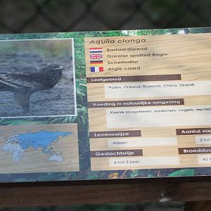 Sign Greater spotted eagle