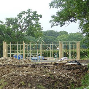 Gelada Baboon Housing