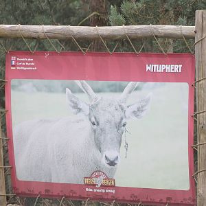 Sign White-lipped deer