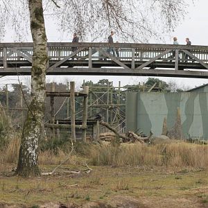 Bridge over one of the Chimp enclosures
