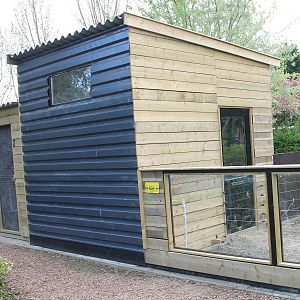 New indoor-enclosure Ring-tailed coati