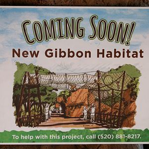 future gibbon exhibit
