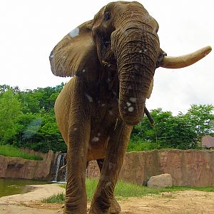 Up-Close-and-Personal with Willy