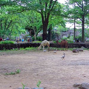 Wilderness Trek View