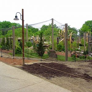 View of Third Amur Tiger Yard from Wolf Wilderness
