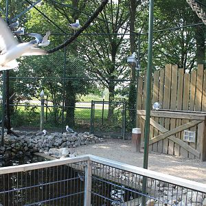 New Gull walk-through aviary