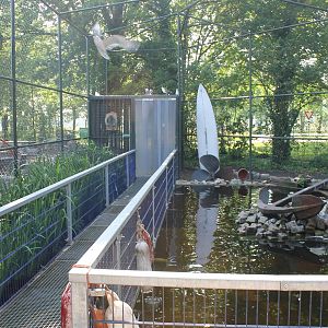 New Gull walk-through aviary