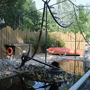 New Gull walk-through aviary