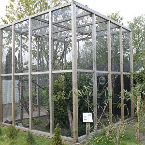 Enclosure Prevost squirrel