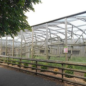 Puma enclosure - 10/06/2016